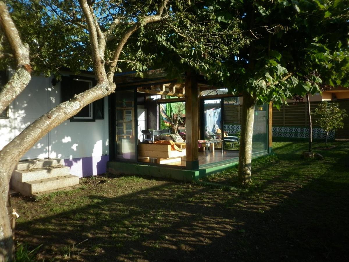 Cabana Rustica En Plena Naturaleza En Playa De Nerga, Ria De Vigo, Hio Dış mekan fotoğraf
